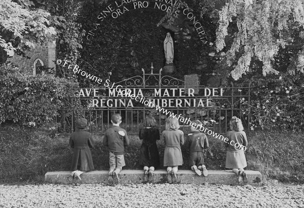 WAYSIDE SHRINE LOURDES NEAR TOGHER CHURCH